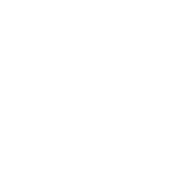 29+ Years of Experience